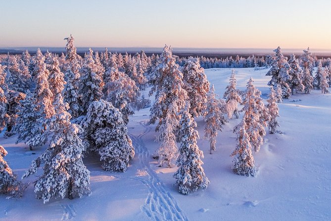 Snowmobile Driving - Morning Start - Activity Highlights