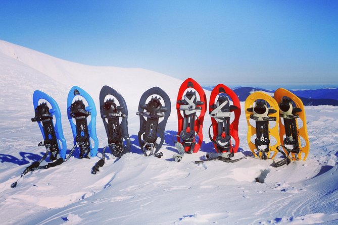 Snowshoeing Fun Tour From Cluj Napoca - Additional Information