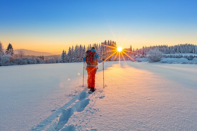Snowshoeing In Vancouvers Winter Wonderland - Discover Scenic Forests