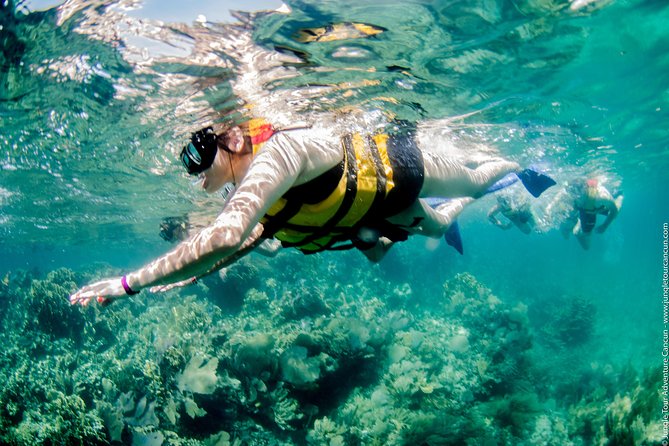 Speedboat and Snorkel Tour: Single Passenger Boat - Accessibility and Accommodations