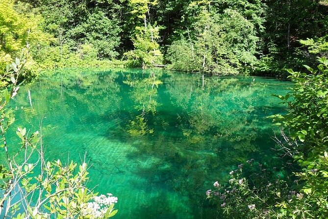 Split to Zagreb or Airport Zagreb via Plitvice Lakes for Singles or Couples - How to Book and Get Started