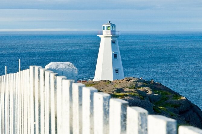 St. John'S Small Group Tour With Iceberg Quest Boat Cruise - Boat Cruise Experience