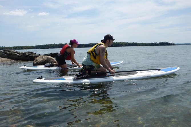 Stand up Paddleboard Tour With Complimentary Oyster Tasting - Customer Reviews and Ratings