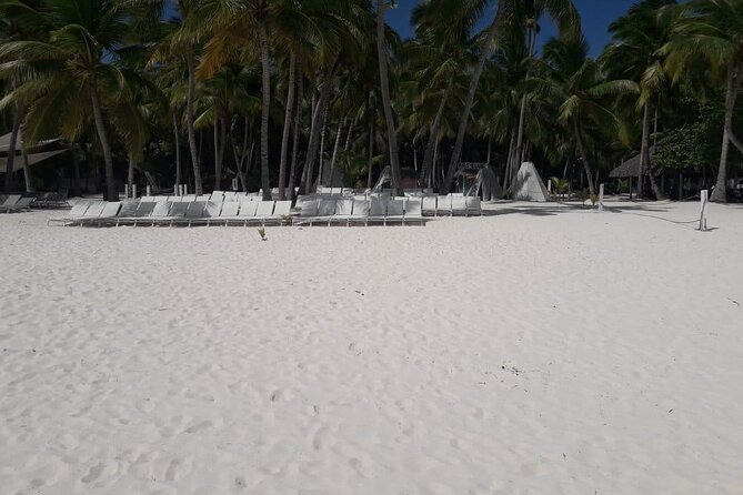Standard and Premium Private Transfer From Punta Cana Airport to Cabarete - Booking Process