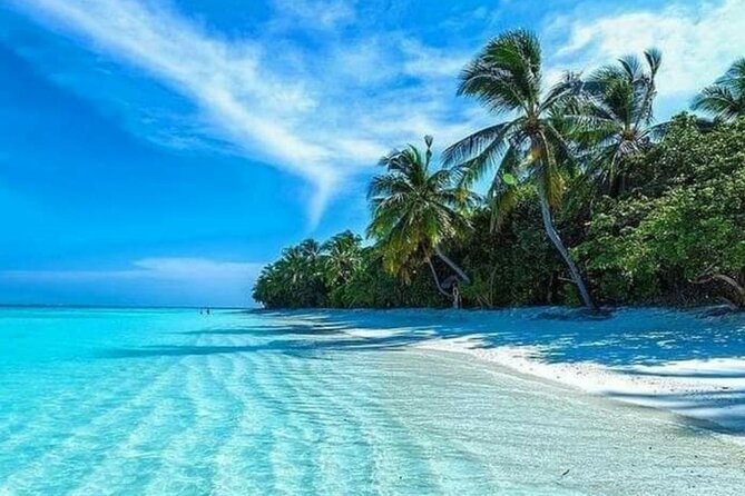 Standard and Premium Transfer From Punta Cana Airport to Las Terrenas - Additional Considerations