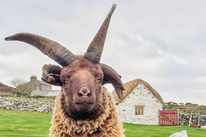 Steam Trains and Castles With Qualified Isle of Man Tour Guide - Exploring the Folk Village