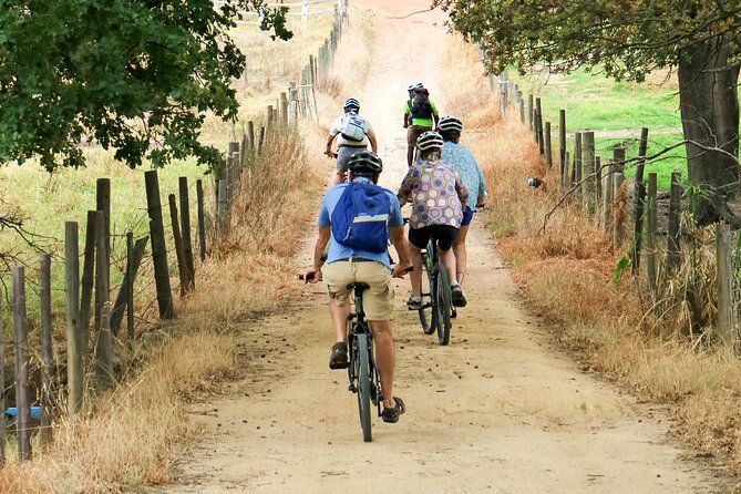 Stellenbosch Winelands Luxury EBike Tour © - Participant Requirements