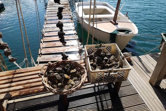 Ston Food Tour With Boat Ride From Dubrovnik - Traveler Photos and Personal Experiences