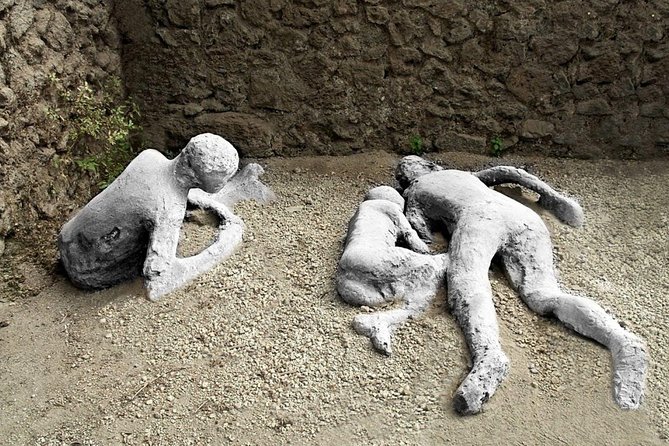 Stories of Pompeii: a Journey Back in Time Guided Tour - Travelers Testimonials and Feedback