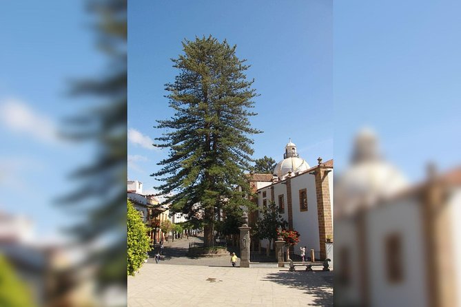 Street Markets of Teror and San Mateo Tour - Accessibility Information