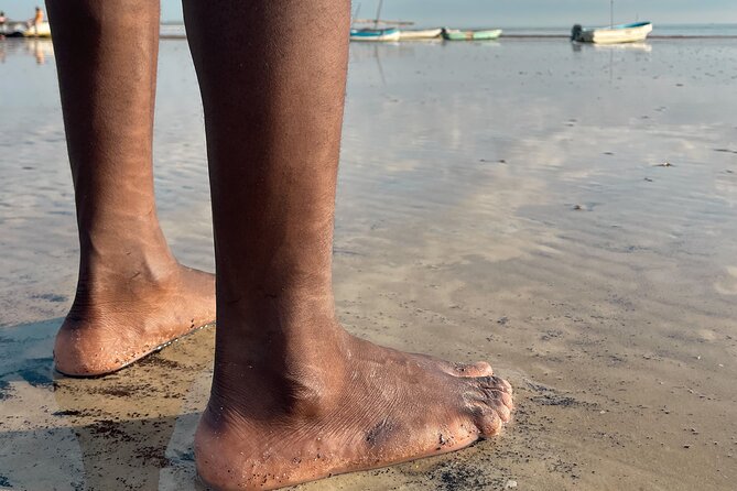 Sunrise Beach Walk With Picnic Breakfast Activity - Booking Information