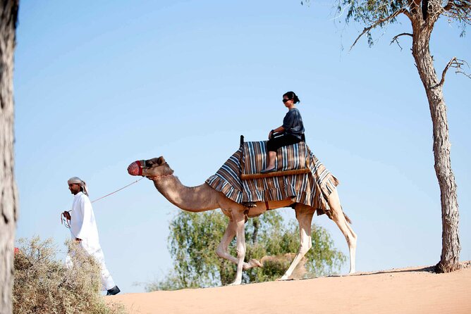 Sunset Camel Ride Including BBQ Dinner From Ras Al Khaimah - Memorable Cultural Experiences