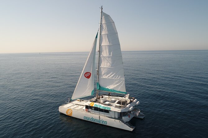 Sunset From a Catamaran in Malaga - Inclusions and Onboard Amenities