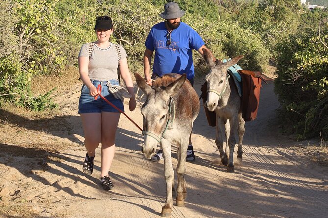 Sunset Pacific Donkey Hiking Tour - Booking and Cancellation Policy