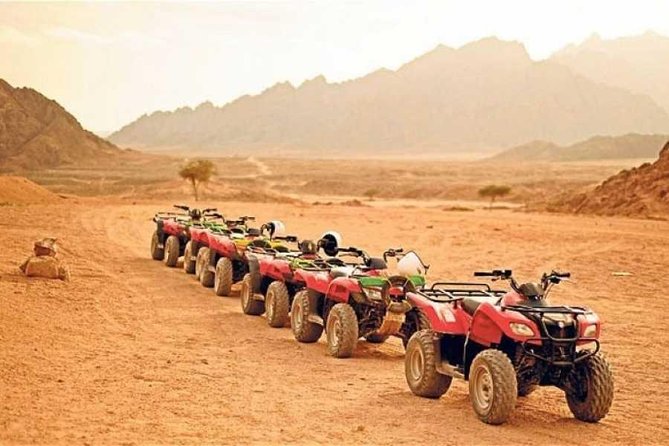 Sunset Quad Bike Safari Tour in Luxor - Booking Details