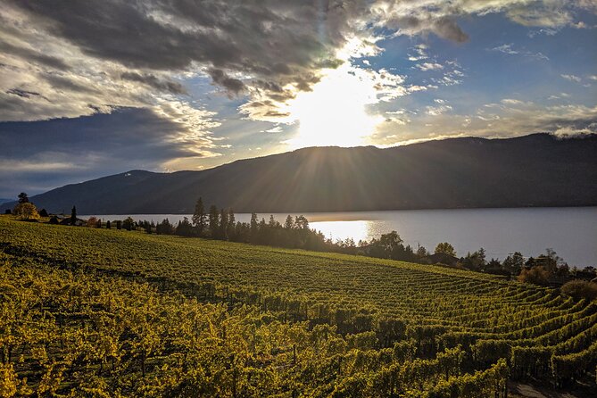 Sunset Sip Wine Tour - Dinner and Dining Experience