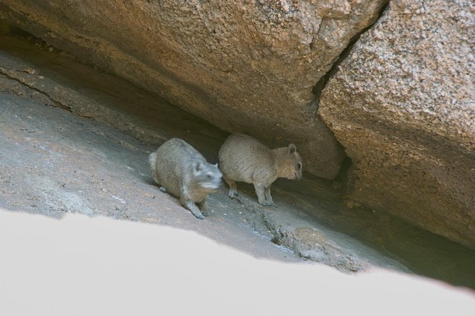 Swakop River Valley & Spitzkoppe Full Day 4x4 Tour From Walvis Bay - Additional Tips for Travelers