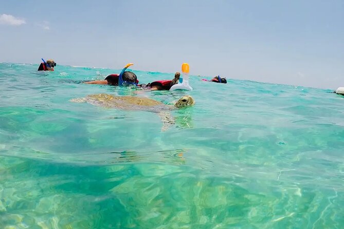 Swim With Akumal Turtles - Preparing for the Excursion