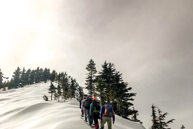 Swiss Ski Experience in Engelberg - Tour Operator and Booking Information