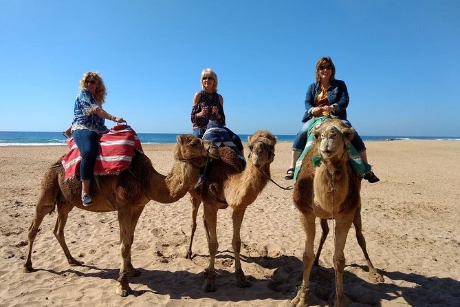 Tangier City Private Walking Tour - Tangier Medina and Beyond