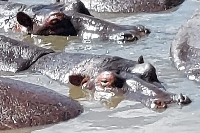 Tanzania Wildlife Safari Budget Camping - Frequently Asked Questions