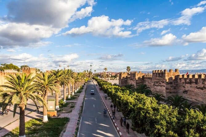 Taroudant and Tiout Oasis With Lunch