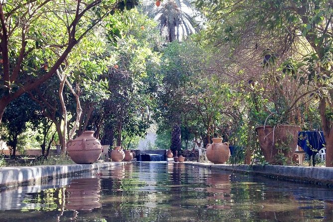 Taroudant the Berber City +The Oasis of Tiout Village - Tour Booking and Cancellation