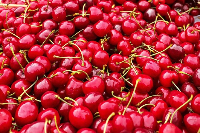 Tastes of Turkey Tour - Discovering the Essence of Turkeys Gastronomy