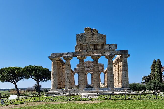 Temples of Paestum and Pompeii Tour Review - Pros and Cons of the Tour