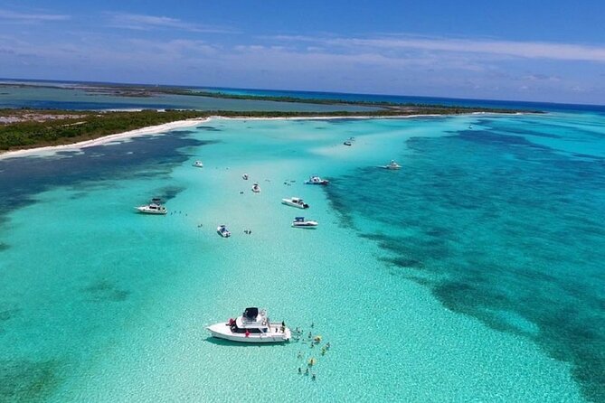 The Best Cozumel Snorkeling Tour Palancar, Colombia and El Cielo Reefs - Marine Life and Snorkeling Sites
