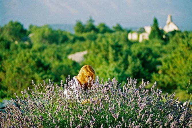 The Best of Hvar Small Group Tour With Wine Tasting and Dinner - Sample Menu Options