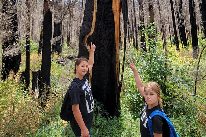 The Bigfoot Tour in Oregon - Reviews and Recommendations