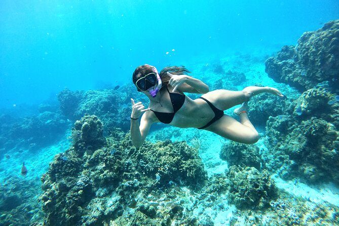 The Cozumel Turtle Sanctuary Snorkel Tour - Exploring Cozumels Marine Life