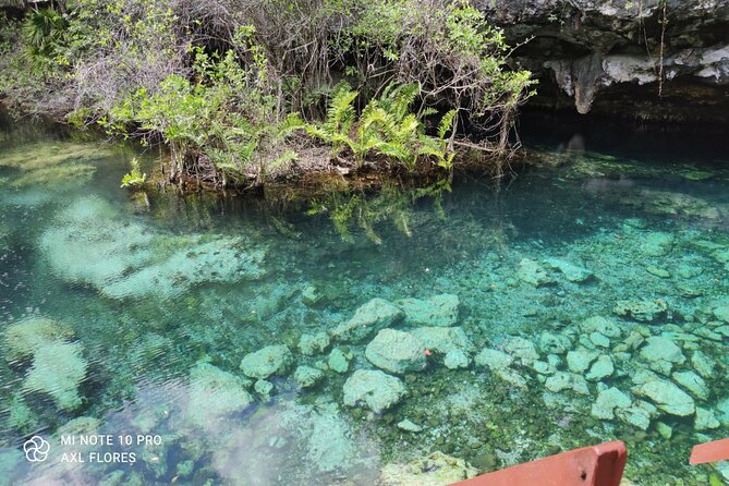 The Great Snorkeling Adventure at the Riviera Maya Private Tour - Private Snorkeling Experience