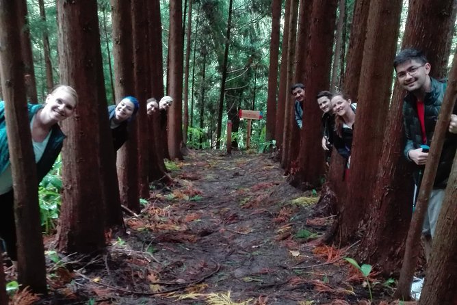 The Great Waterfalls Hiking Tour - Activities and Experiences