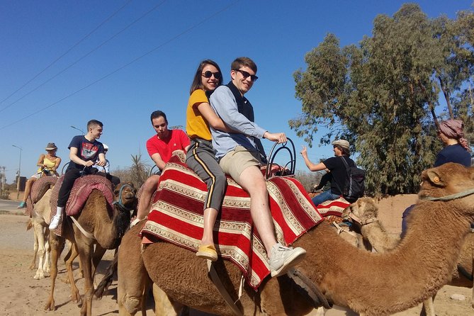 The Majorelle Garden With Ticket and the Palm Grove on Camelback - Frequently Asked Questions