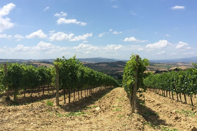 The Maremma - Local Wine Tastings