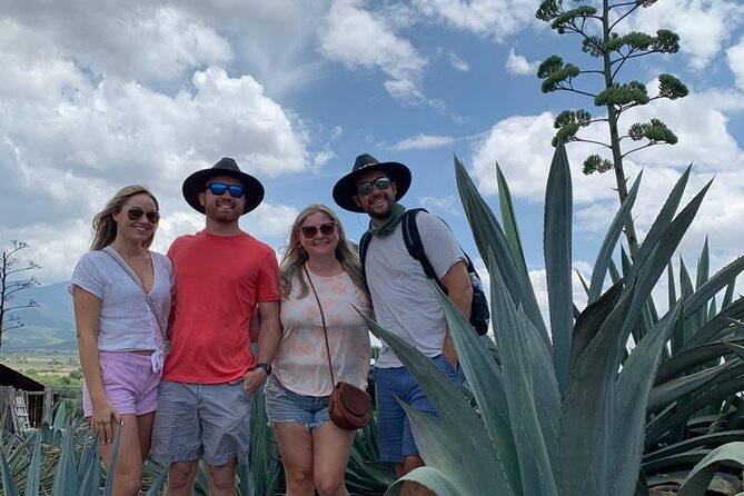 The Mezcal Journey - Agave Cultivation and Mezcal Production