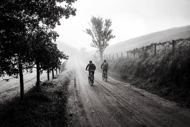 The Train Track Trail Mountain Bike Ride - Private Experience - Customizable Basque Picnic Lunch