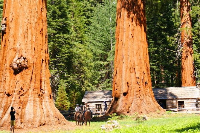 The Ultimate Yosemite Grand Experience - 4-Day Travel Package + Hotel Included - Private Tour Experience