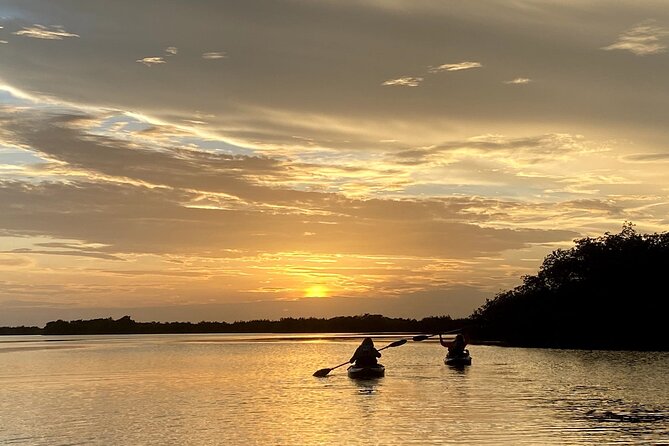 Thousand Islands Mangrove Tunnel Sunset Kayak Tour With Cocoa Kayaking! - Sightings of Wildlife