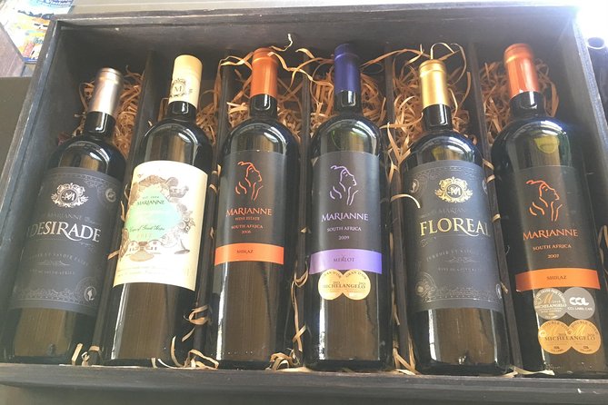 Three Day Private Tour: Table Mountain, City, Cape Peninsula and Winelands - Testimonials and Reviews