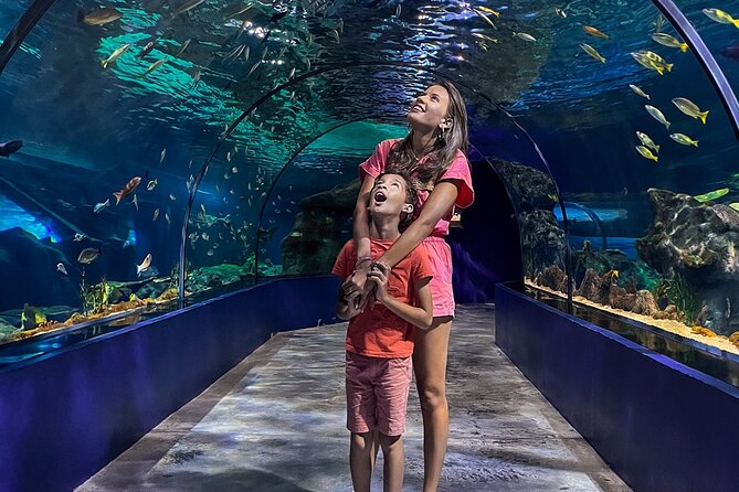 Ticket to the Largest Oceanarium of the Mascarene Islands - Wildlife and Exhibits