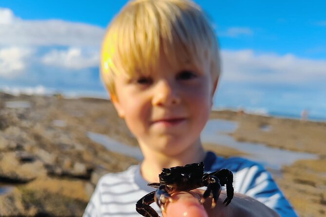 Tide Pool Safari in Monte Clérigo Beach - Additional Information