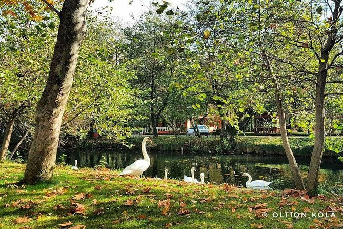 Tirana Hidden Treasures Sightseeing Tour - Cancellation and Payment Options