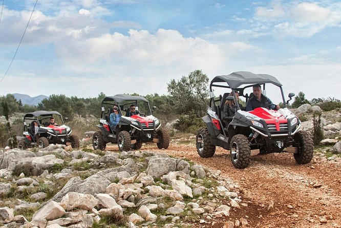 Top Packages Activities Discover Agadir and Morroco ® - Traveler Reviews and Ratings