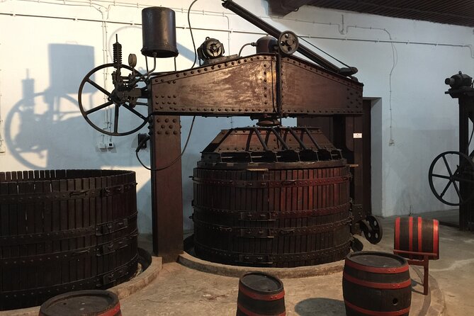 Topola: Royal Dynasty Half Day Tour From Belgrade - Experiencing the Royal Winery