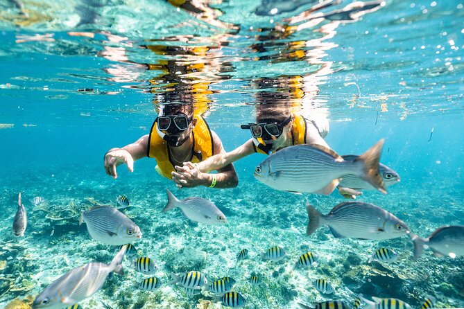 Total Snorkel and Jet Ski Tour Over Cancun Bay - Personalized Attention and Safety