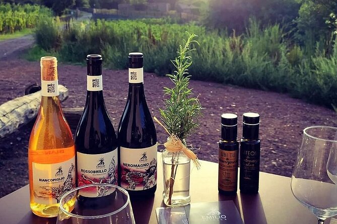 Tour and Wine Tasting at the Etna Cellars - Meeting and Pickup Details