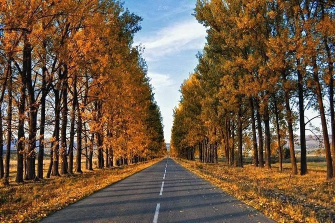 Tour in the Forest of Sabadur and the Chronicler of Georgia. - Visitor Reviews and Feedback